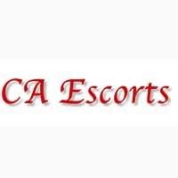 escorts cobourg|Hamilton Escorts 